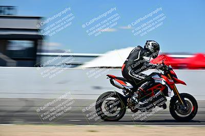 media/Mar-25-2024-Moto Forza (Mon) [[8d4319bd68]]/3-Intermediate Group/Session 4 (Front Straight Speed Pans)/